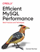Efficient MySQL Performance.pdf